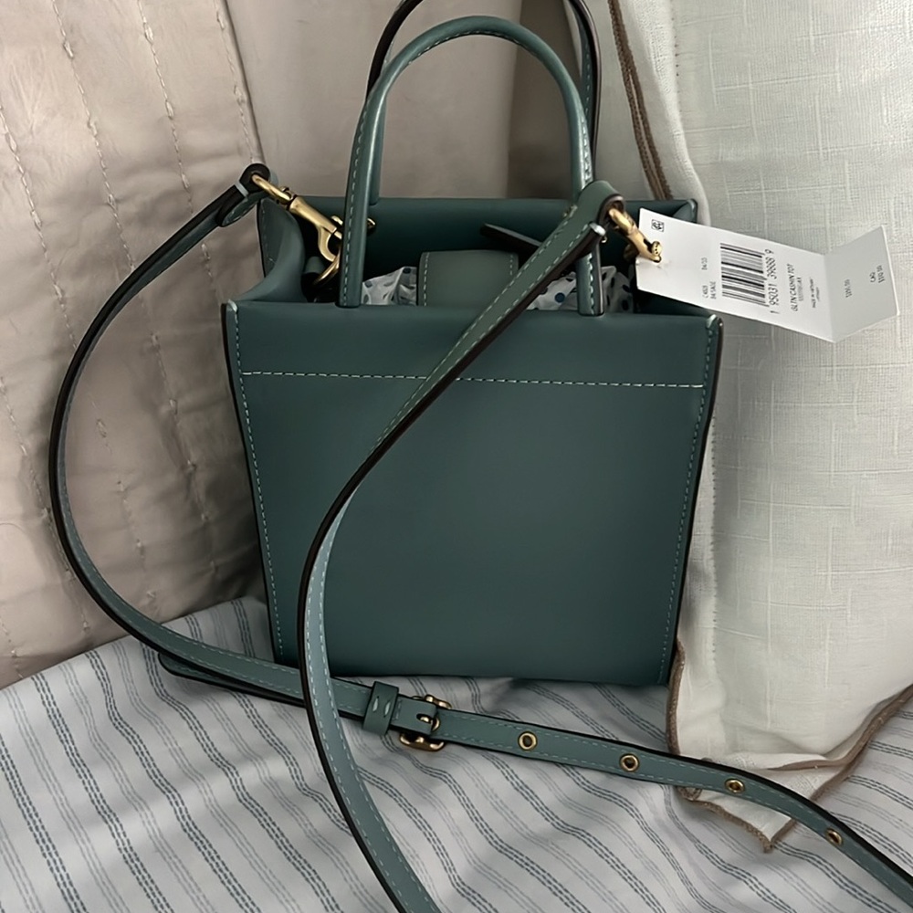 Coach sage green cashin tote